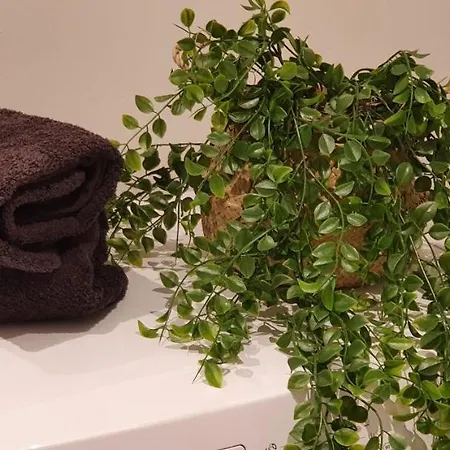 Et A 2 Pas De La Cite * Carcassonne